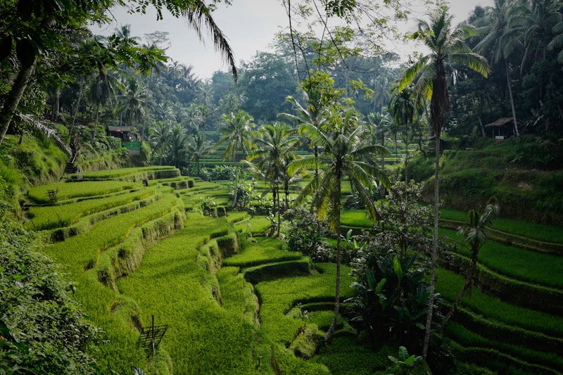 Southeast Asia Backpacking